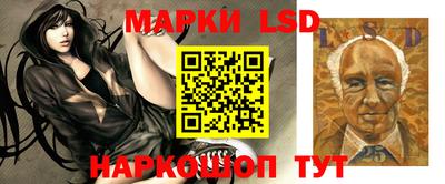 крисы Краснодар