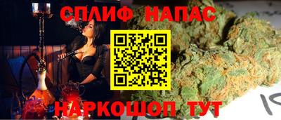крисы Краснодар