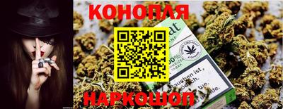 a pvp Краснознаменск