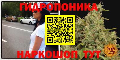 a pvp Краснознаменск