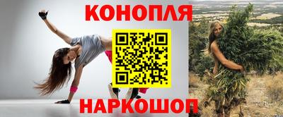 крисы Краснодар